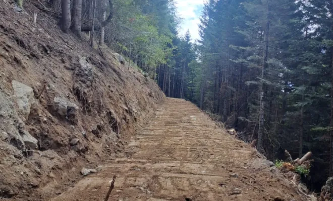 Piste forestière Pendant 